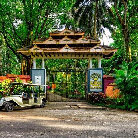 Kairali - The Ayurvedic Healing Village Palakkad Extérieur photo